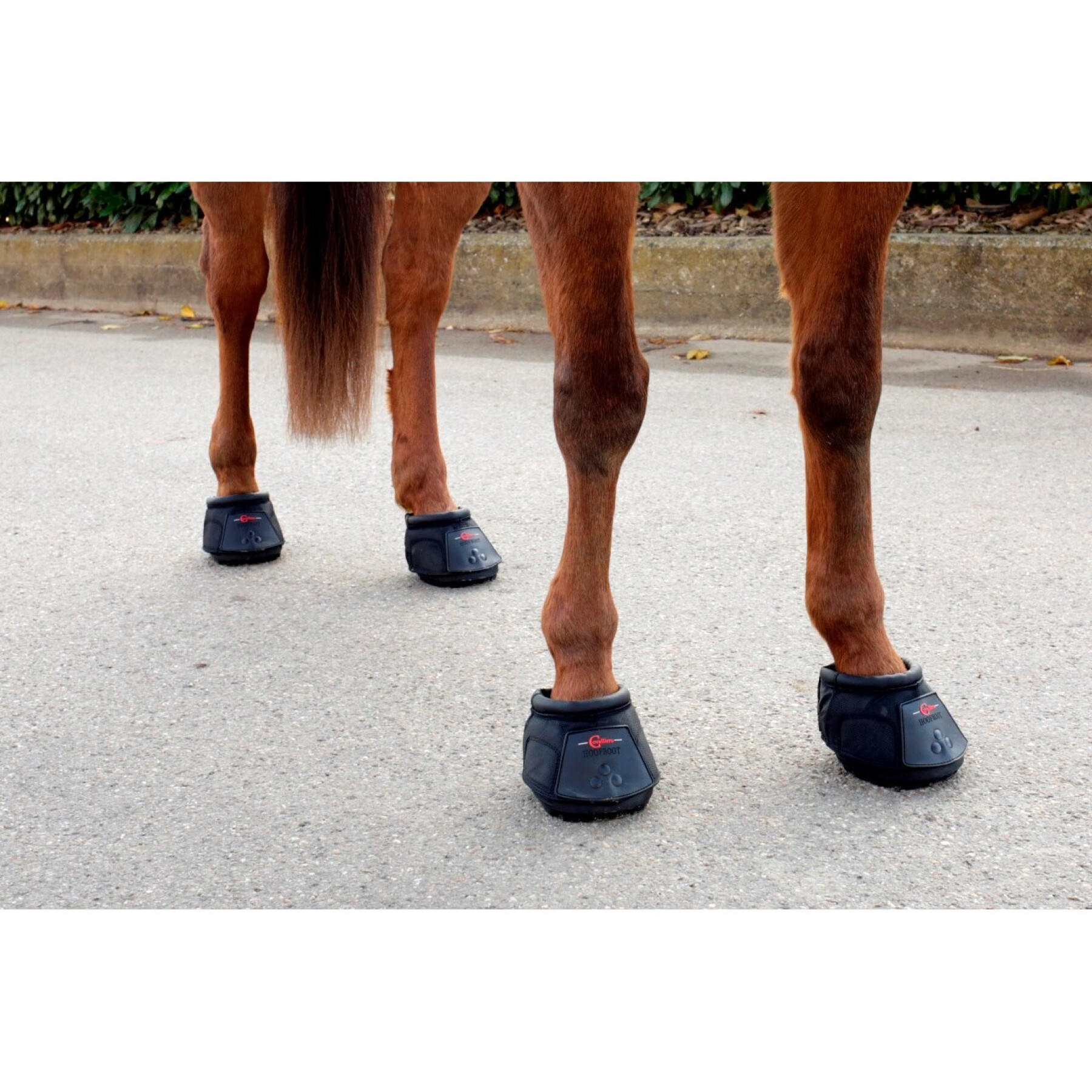 Sandália para cavalo Covalliero Hipposandale