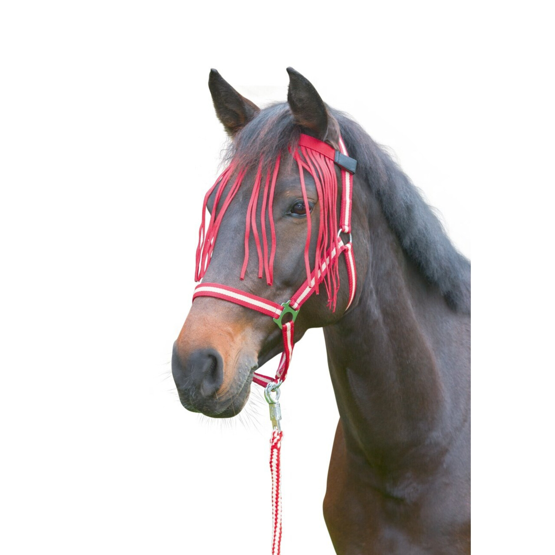 Banda anti-violeta para cavalos Covalliero