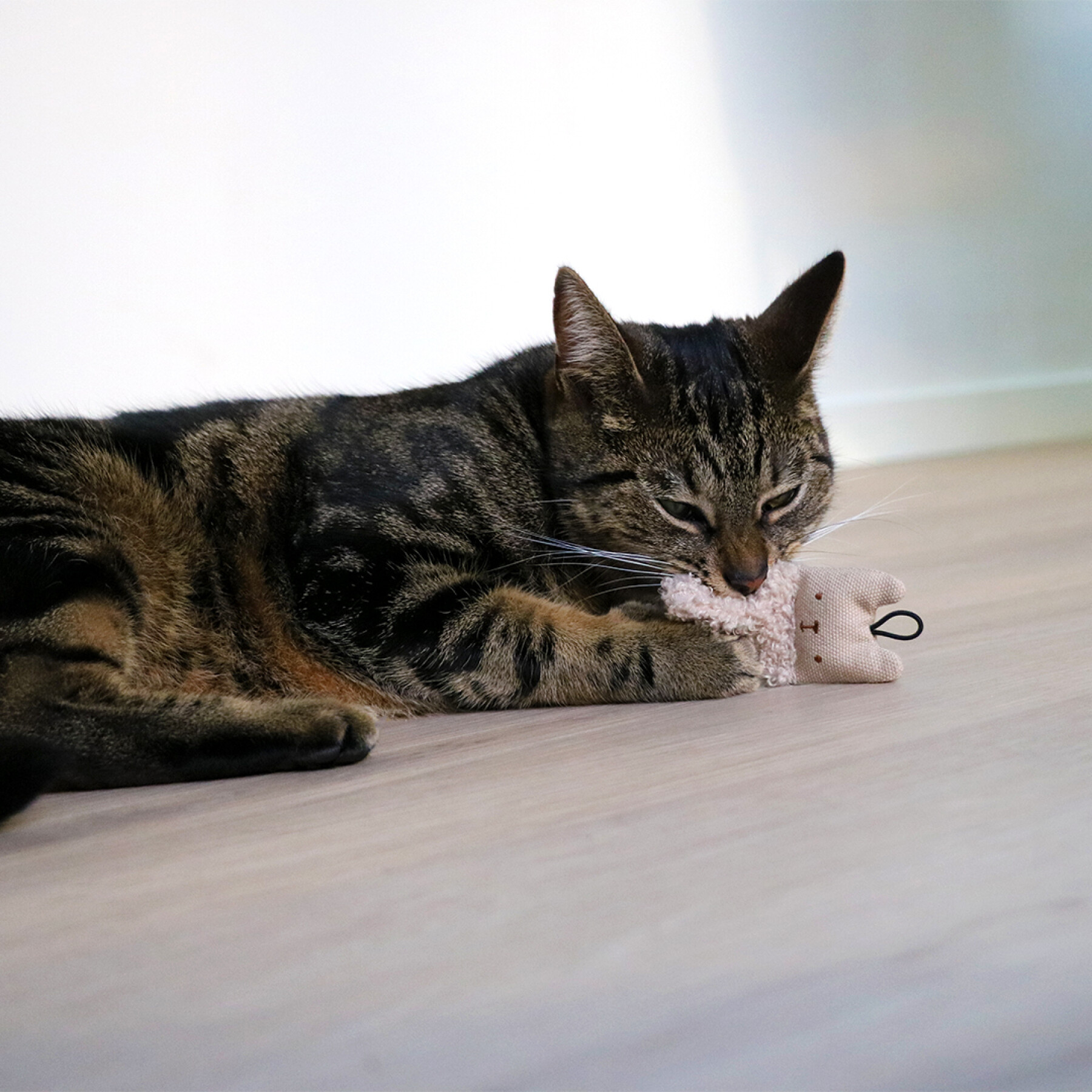Brinquedo de peluche para gatos D&D Home Alfie