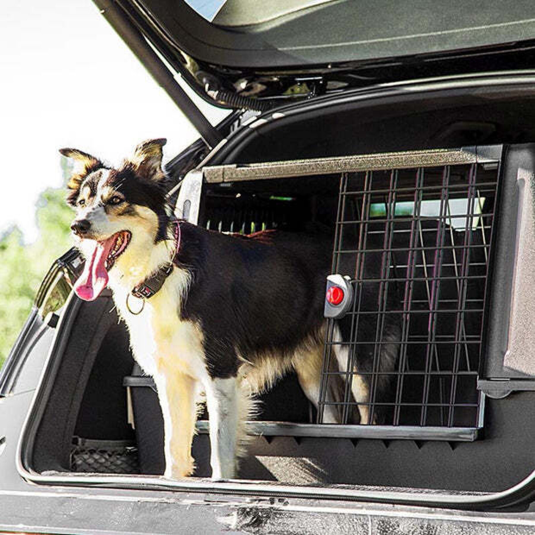 Saco de transporte para cães Ferplast Atlas Scenic