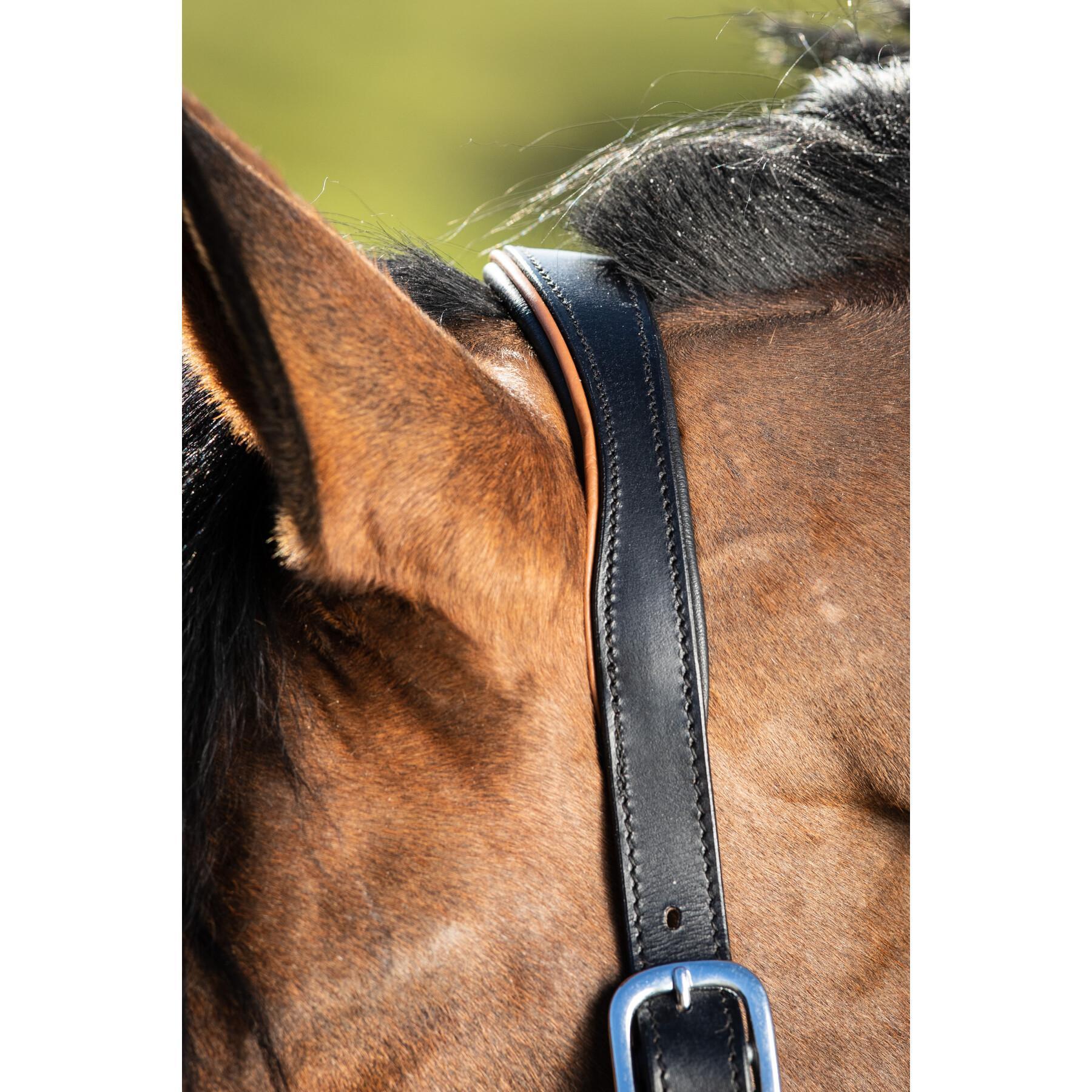 Cabresto de couro para cavalos HFI Two-Tone