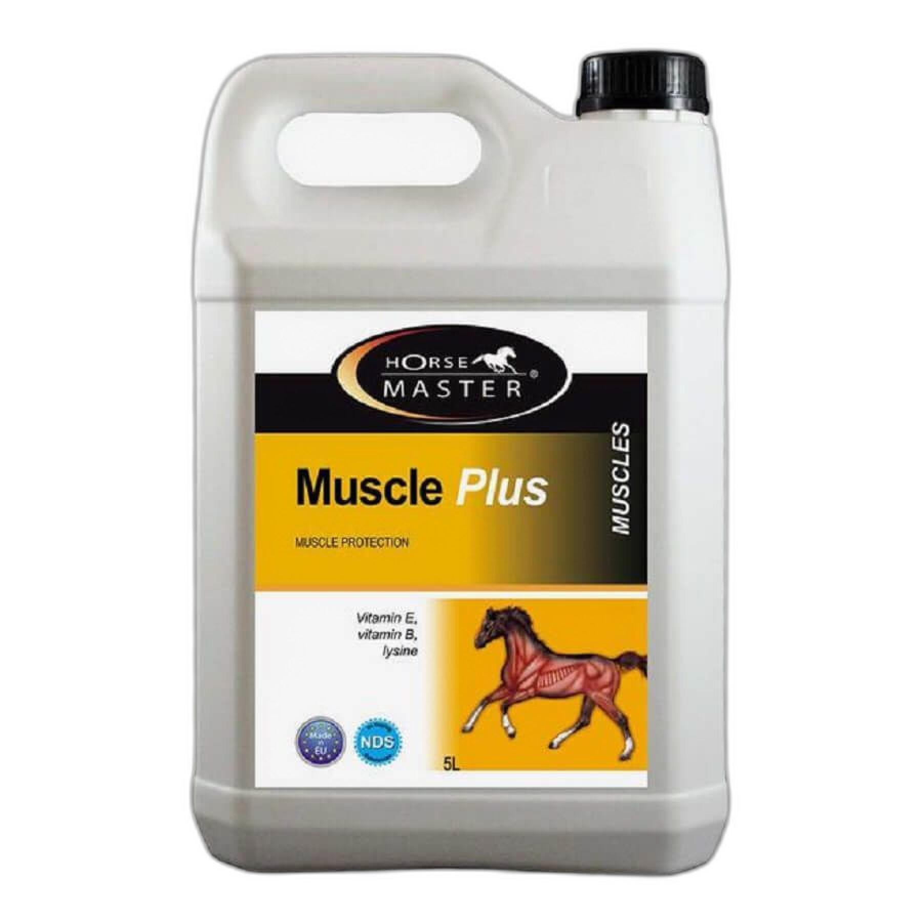 Suplemento de apoio às articulações do cavalo - lata Horse Master Muscle Plus
