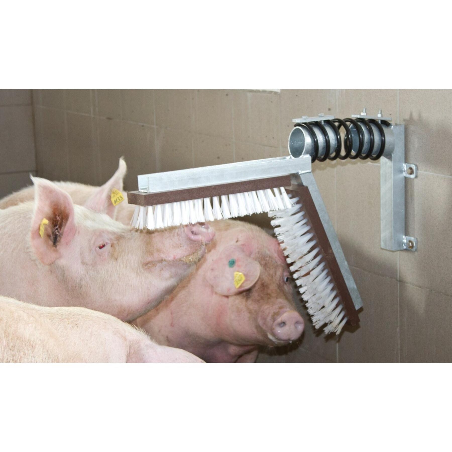 Escova para porcos Kerbl