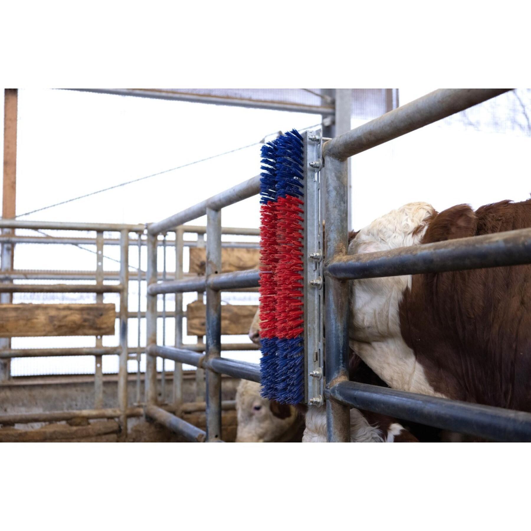 Escovas para criação de gado, de acordo com Kerbl Bully ITW