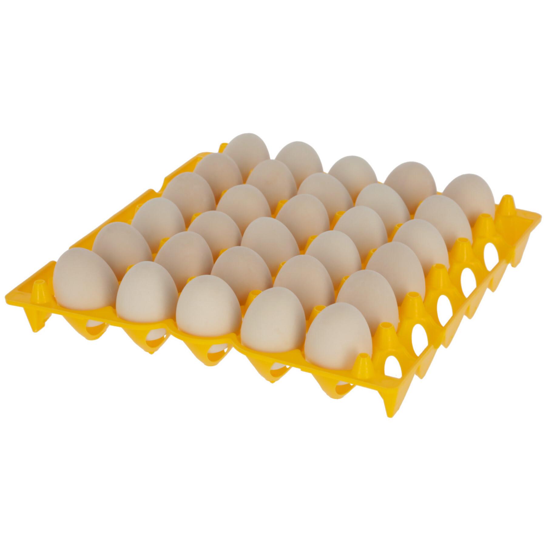 Tabuleiros para 30 ovos pp Kerbl