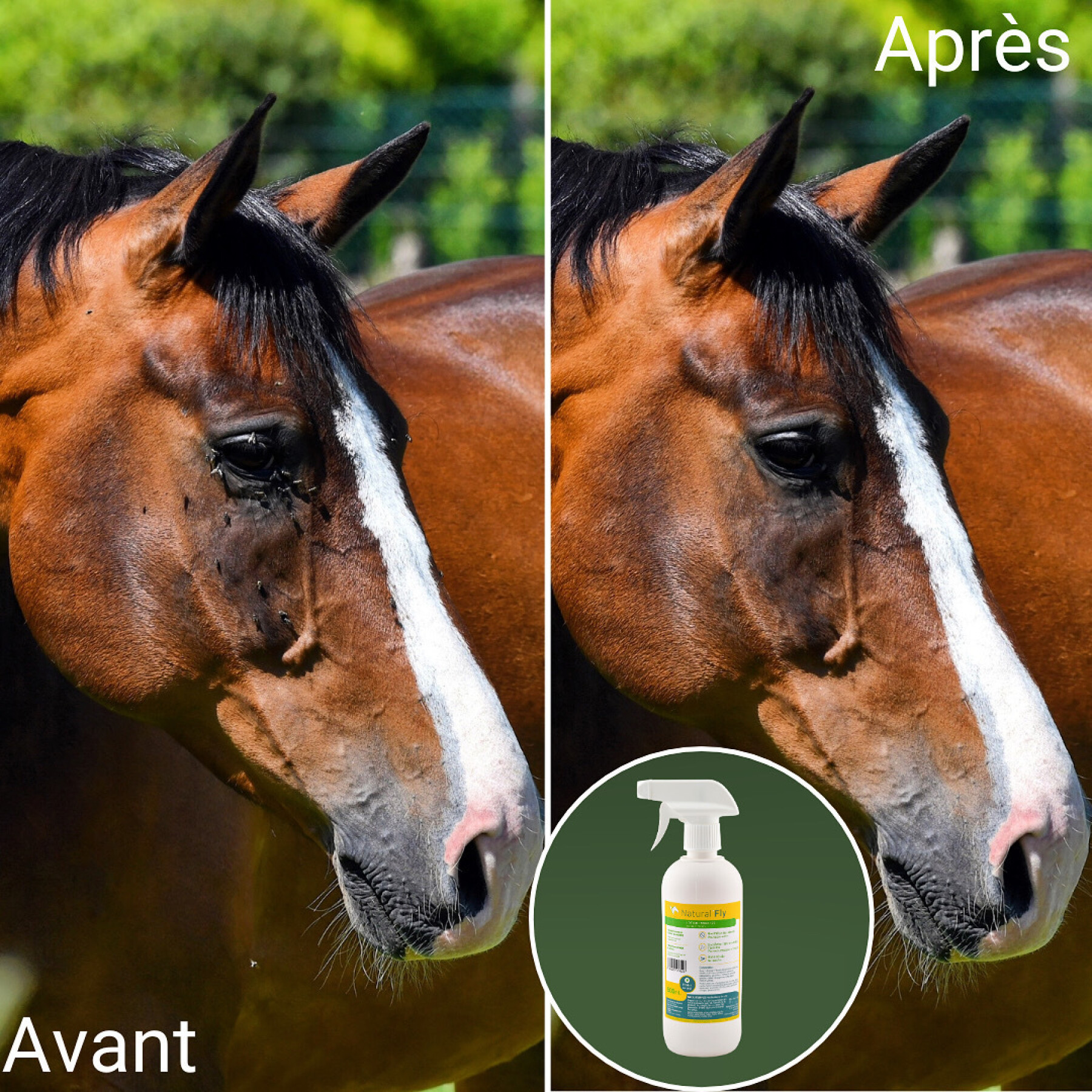 Spray anti-insectos para cavalos Natural Innov Natural'Fly