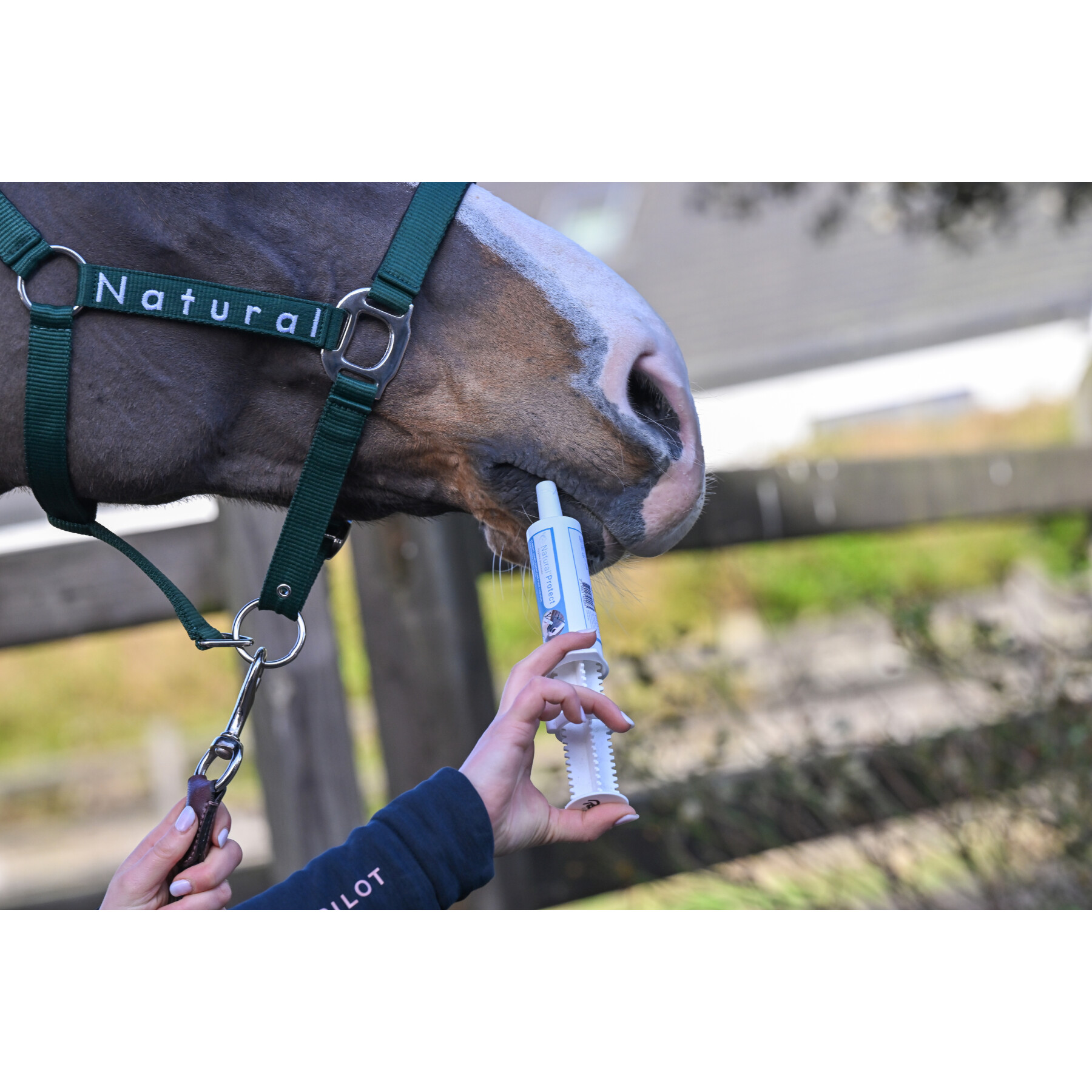 Suplemento alimentar para cavalos com parasitismo intestinal Natural Innov Protect