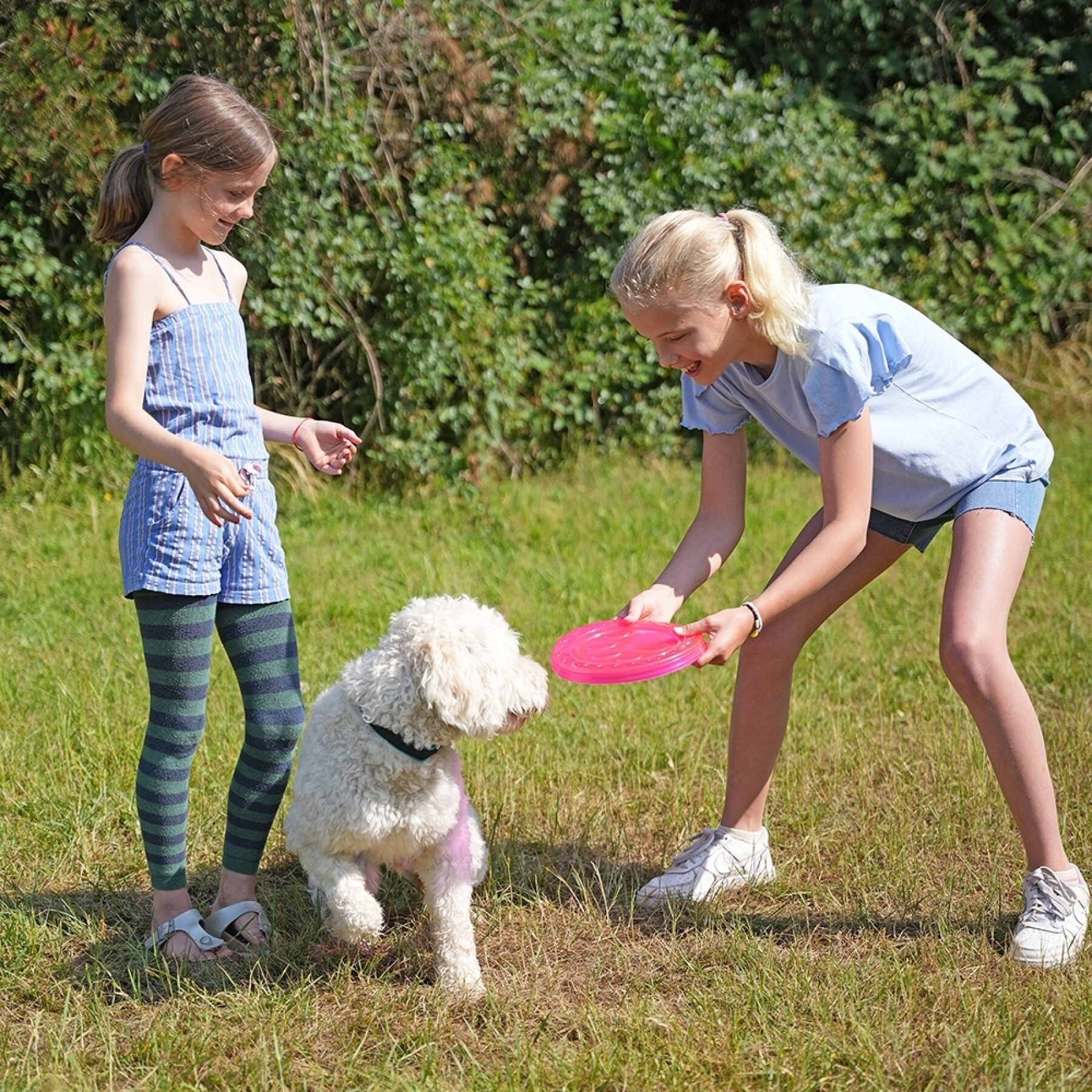 Tpr Frisbees para cães Nobby Pet Paw