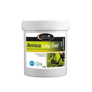 Gel refrescante para cavalos Horse Master Arnica Leg 500 g
