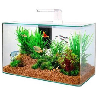 Kit de aquário transparente Zolux