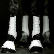 Botas de cavalo Equilibrium S&F Simples