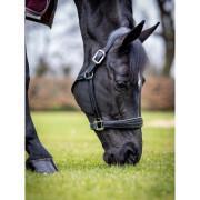 Cabresto de couro para cavalos LeMieux Stitched Comfort