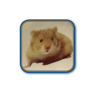 Taça de cerâmica para hamster Nobby Pet