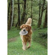 Frisbees para cães Nobby Pet Flybee