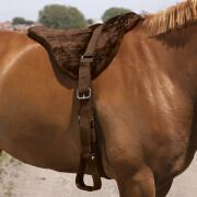 Almofada de sela para cavalos de cavalo de bareback Norton