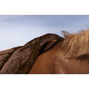 Almofada de sela para cavalos de cavalo de bareback Norton