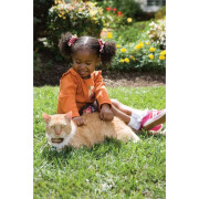 Kit de vedação anti-fuga para gatos PetSafe Premium