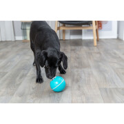 Bola de plástico para cães Trixie