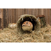 Abrigo para roedores com cenoura, fibra natural Trixie